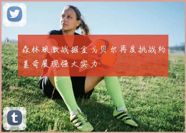 森林狼激战掘金戈贝尔再度挑战约基奇展现强大实力